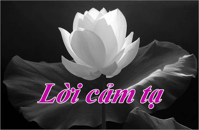Lời cảm tạ gia đình Trần Đăng Minh