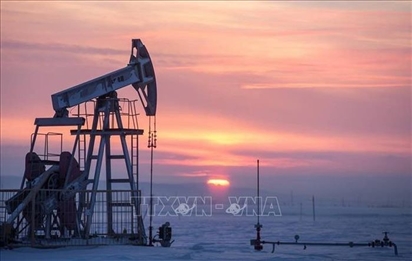 Lý do giá dầu Urals của Nga vẫn tăng bất chấp lệnh trừng phạt và nhu cầu giảm