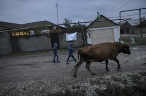 Làng Nga - nơi trai tráng đổ xô tới Syria thánh chiến