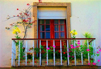 Ứng dụng các nguyên tắc Phong Thuỷ vào thực tế