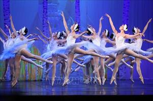 Đẹp ngỡ ngàng vở ballet kinh điển Hồ Thiên Nga phiên bản Việt