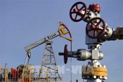 Doanh thu xuất khẩu dầu của Nga sang Ấn Độ tăng 22 lần trong năm 2022