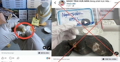 Chiêu trò livestream 'mở ngọc trai': Hứa lãi tiền tỷ, coi chừng sập bẫy mất trắng