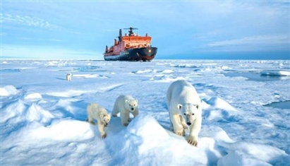 Cuộc chiến giành kho báu Bắc Cực giữa các cơ quan tình báo