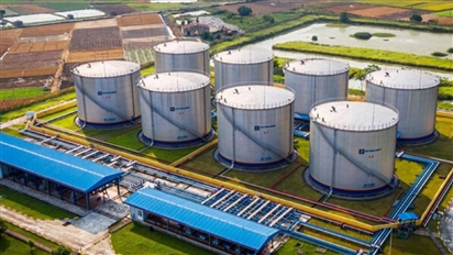 Việt Nam đang nhập khẩu dầu từ những đâu?