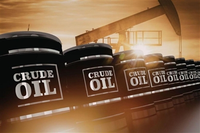 G7 họp khẩn tính chuyện xả kho dự trữ dầu