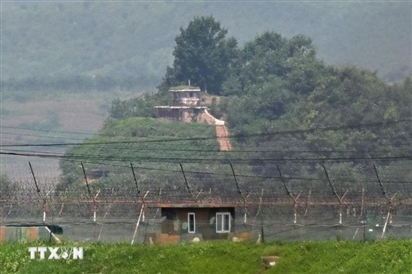 Hàn Quốc khôi phục Vụ Chính sách Triều Tiên sau gần một năm giải thể