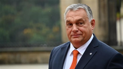 Liên minh châu Âu nên trở thành đối tác của Ukraina mà không cần cho nước này gia nhập EU