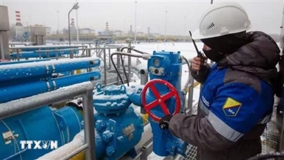 EU nhập lượng khí đốt kỷ lục từ Nga