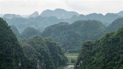 Trung tâm Nhiệt đới và sự hồi sinh của hệ sinh thái rừng Việt Nam