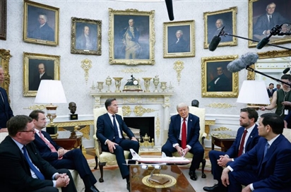Tổng thống Trump dọa rút khỏi NATO ngay trong cuộc gặp với Tổng Thư ký Rutte