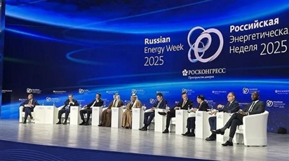 Việt Nam - Liên bang Nga tăng cường hợp tác năng lượng