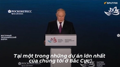 Tổng thống Putin: Hoạt động hàng hải dọc theo hành lang xuyên Bắc Cực cần được thực hiện quanh năm