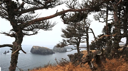 Chuyên gia: Hiệp ước hòa bình là tham vọng của phía Tokyo, không phải lợi ích của Moskva