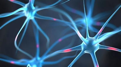 Bệnh Alzheimer có thể phòng ngừa và thậm chí đảo ngược quá trình phát triển bệnh