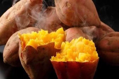 Ăn khoai lang mỗi sáng suốt 3 tháng, người phụ nữ 30 tuổi nhận tin bất ngờ