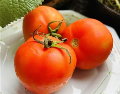 Cảnh báo: 5 nhóm người không nên ăn nhiều cà chua, rất nhiều người mắc mà không hay