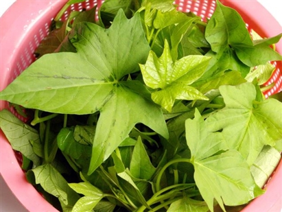 Bất ngờ với loại rau có thể ngăn chặn sự phát triển của tế bào ung thư: Mọc đầy ở Việt Nam
