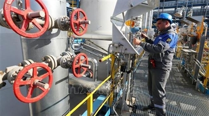 Nga gia hạn lệnh cấm xuất khẩu xăng đến cuối năm