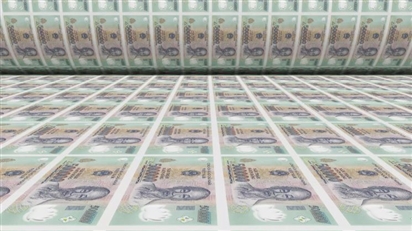Việt Nam nhập siêu hơn 20 tỷ USD, tiền Đồng đang mạnh hơn đô la Mỹ