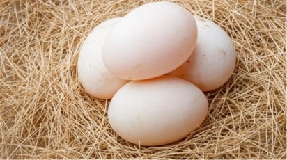 5 người không nên ăn trứng vịt, càng ăn càng hại