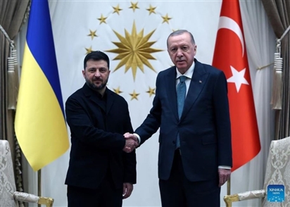 Nội dung cuộc hội đàm giữa Tổng thống Ukraine và Thổ Nhĩ Kỳ