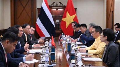 Việt Nam và Thái Lan thành lập một tiểu khối riêng trong ASEAN