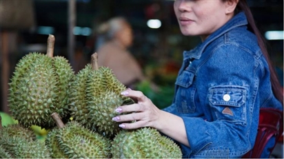 Thứ trưởng Hoàng Trung xộ khám, ai thao túng xuất khẩu sầu riêng Việt Nam?