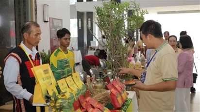 34 dự án khởi tranh chung kết Cuộc thi Khởi nghiệp xanh 2026