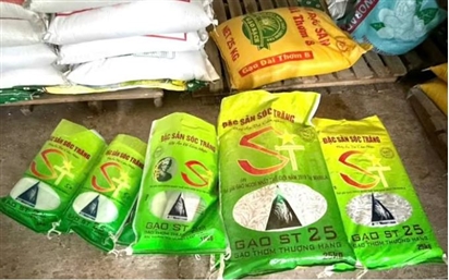 Khởi tố hình sự vụ án giả gạo ST25
