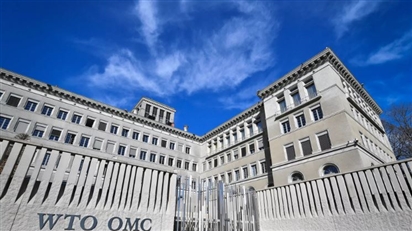 20 năm gia nhập WTO, Việt Nam gây ấn tượng về thành tựu kinh tế
