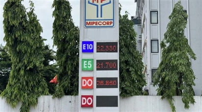 Việt Nam: Vì sao xăng E5 bất ngờ khan hiếm?