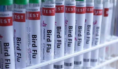 Nga cảnh báo dịch cúm A tiếp tục gia tăng