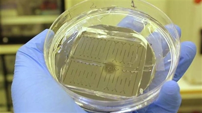 Nga chế tạo bộ thiết bị chẩn đoán sớm ung thư và lão hóa