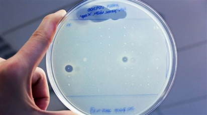 Các nhà khoa học Nga tạo ra một loại kháng sinh mới