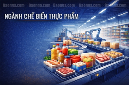 Bài 5: Thực phẩm chế biến tại Nga - Thị trường lớn, nhu cầu ổn định và cơ hội cho các nhà máy sản xuất (Phân tích thị trường cập nhật đến tháng 3/2026)