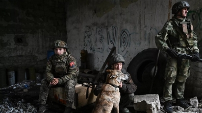 Các quân nhân Nga kể về chú chó cứu mạng họ trong khu vực chiến dịch quân sự đặc biệt