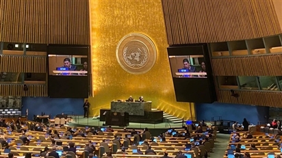 Việt Nam sẵn sàng tham gia sâu vào tiến trình hòa bình ở Gaza