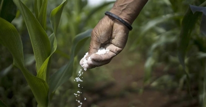 Giá phân bón tăng mạnh do xung đột, Nga 'trúng đậm'