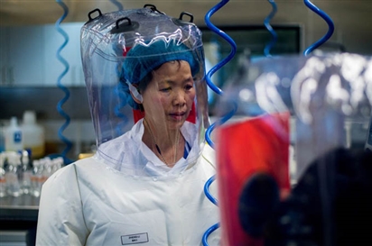 'Người đàn bà dơi' của Trung Quốc cảnh báo virus SARS-CoV-2 sẽ còn đột biến nữa