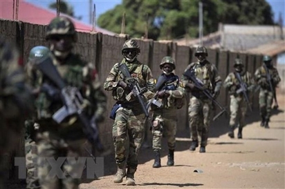 Niger: ''Việc can thiệp của ECOWAS sẽ vấp phải kháng cự quyết liệt''