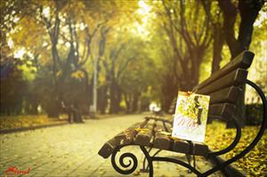 Bộ ảnh Mùa thu vàng nước Nga số 31: Tình yêu và nỗi nhớ - Nguyễn Ngọc Hạnh