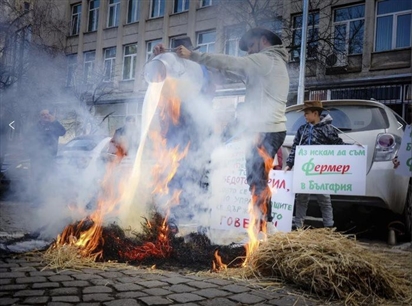 Nông dân Bulgaria gia nhập 'làn sóng' biểu tình tại châu Âu