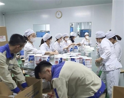 Vụ sản xuất sữa bột giả cho trẻ sơ sinh, bà bầu: Các bị can khai cho vào một số chất phụ gia