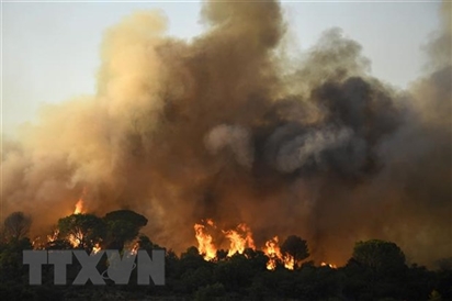 Hơn 7.000 hécta rừng bị thiêu rụi trong thảm họa cháy tại Pháp