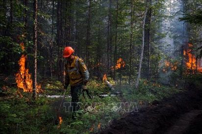 Cháy rừng tại Nga lan rộng đến các vùng miền Trung