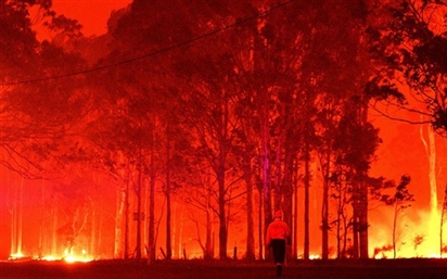 Australia chi gần 80 triệu AUD điều trị chấn thương cho nạn nhân cháy rừng