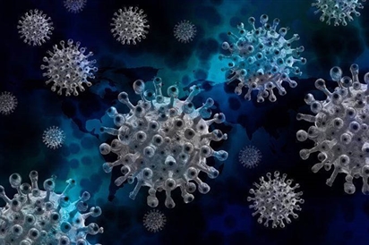 Phát hiện vũ khí chống lại tất cả virus corona, bao gồm SARS-CoV-2