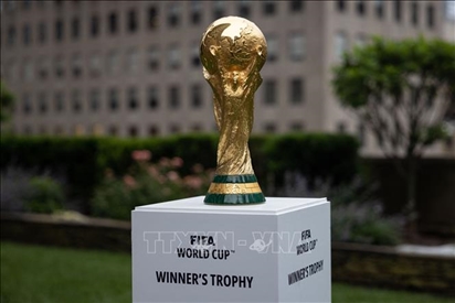 Đội vô địch World Cup 2022 sẽ nhận 42 triệu USD tiền thưởng
