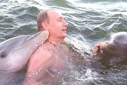 Công bố video hiếm quay cảnh ông Putin bơi cùng cá heo ở Cuba